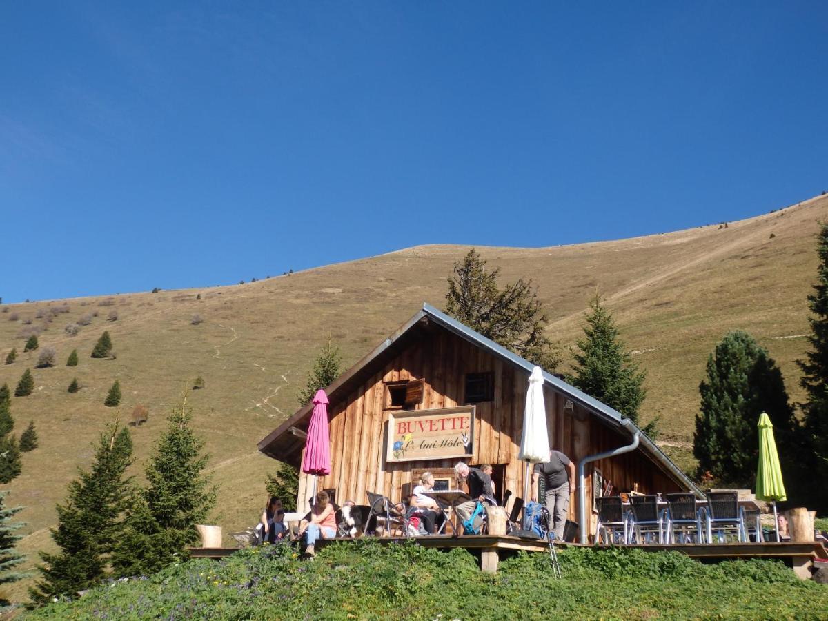 Bed and Breakfast Au Coeur Des Alpes Marignier Экстерьер фото